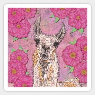 Perfectly Pink Llama Sticker